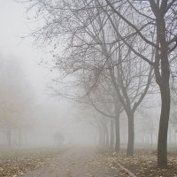 В тумане :: Виктория Цыбульская