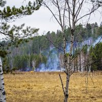 Лесные пожары в Сибири... :: Светлана Воробьёва