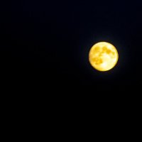 Луна (Пробная съёмка) :: Светлана Воробьёва