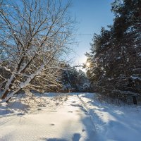 Зима в феврале :: Александр Синдерёв