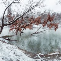 Екатеринодарская зима. :: Анатолий Щербак