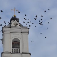 Птицы над колокольней. :: Александра Климина