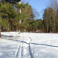 Последний месяц зимы. :: Милешкин Владимир Алексеевич 