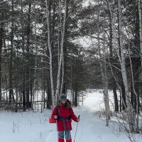 В лесу,зима :: Георгиевич 