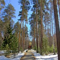 Дорожка к Храму во имя святителя Николая Мир Ликийских Чудотворца :: Сергей Карачин