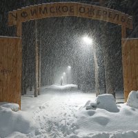 "Такого снегопада, такого снегопада..." :: Николай Рубцов