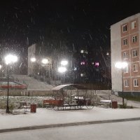 Вечерний снег :: Ольга 