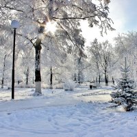 Зимний сюжет в парке. :: Восковых Анна Васильевна 