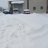 Кругом снег :: Елена Семигина