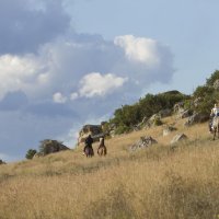 Туристическая тропа :: Пасечник 