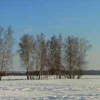 В феврале и небо голубее. :: nadyasilyuk Вознюк