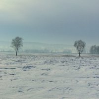 Морозный февраль. :: nadyasilyuk Вознюк