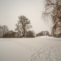 В заснеженном парке... :: Николай Гирш