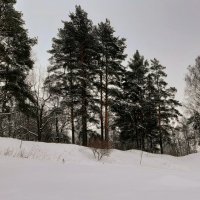 Зимний Павловск :: Наталья Герасимова