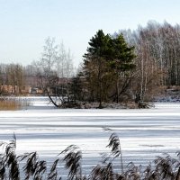 Смоленская область в феврале. :: Милешкин Владимир Алексеевич 