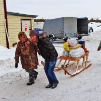 Когда олени нарасхват... :: Владимир 