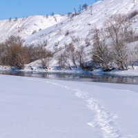 Река Кубань :: Игорь Сикорский