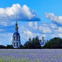 Церковь в васильках :: Михаил Свиденцов