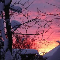 Зимний закат :: Тамара 