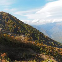 В горах (Роха Хутор) :: Евгений Седов