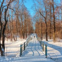 Благоприятен мост через зимнюю реку :: Валерий Паршин
