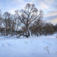 Зимний вечер :: Константин 