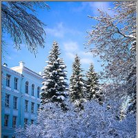 Погожий зимний денёк. :: Александр Дмитриев