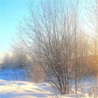 Лёгкий морозец февральских деньков! :: Нина Андронова