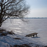 февраль :: Елена Агеева