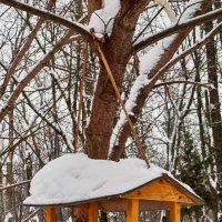 Кормушка для птиц и белок :: Алексей Р.