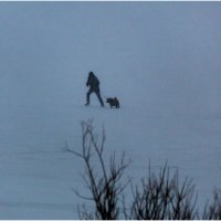 Вечерняя прогулка в снегопад. :: Валентин Кузьмин