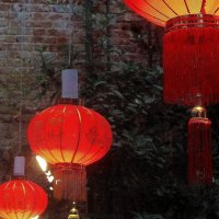 ...  фонарики , освещающие дорогу китайскому Новому Году.. :: galalog galalog