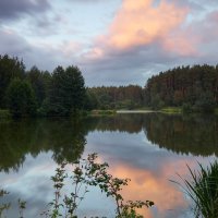 Закат на лесном озере :: Валерий Вождаев