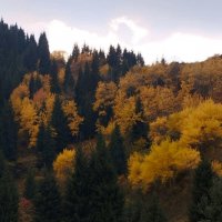 Almaty. :: Murat Bukaev 