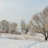 Спуск к замёрзшей реке :: Андрей Снегерёв