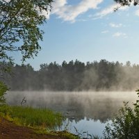 Солнечным утром.... :: Юрий Цыплятников