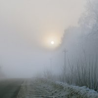 Дорога в тумане :: Ирина Полунина