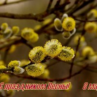 С Праздником Весны! :: Александр Прокудин