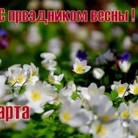 С Праздником Весны! :: Александр Прокудин