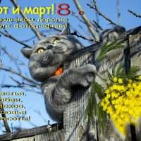 С 8-м марта, дорогие подруги - фотографини! :: Елена Кирьянова