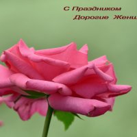 С праздником 8 марта. :: Алексей .