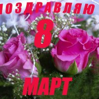 С праздником, дорогие женщины! :: Oleg4618 Шутченко