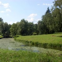 Река Славянка в Павловском парке. :: Ирина ***