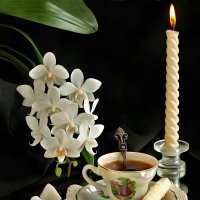 Белая орхидея :: Irene Irene