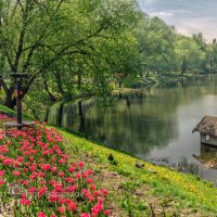 Река в цвету :: Игорь Сарапулов