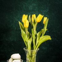 Желтые тюльпаны... :: Людмила Павловна Крышковец