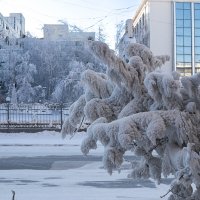 Якутск :: Селезнёв Алексей 