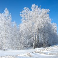 Дыхание зимы весенним днём :: Ирина Полунина