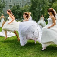 Невесты :: SanSan 