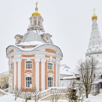 Сергиев Посад. Троице-Сергиева Лавра. Зима :: Николай Николенко